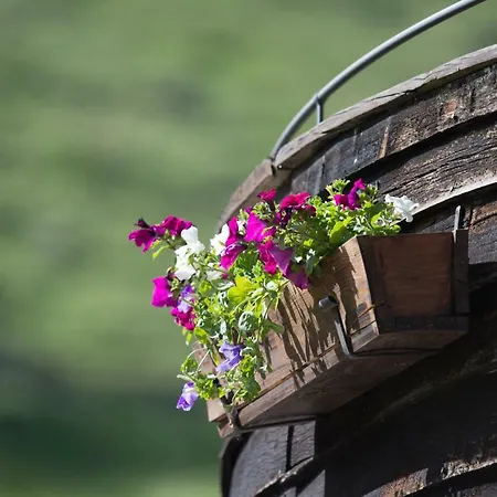 Berghotel-gasthof Gstrein 3*