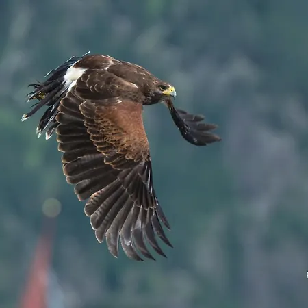 Ξενοδοχείο Berghotel-gasthof Gstrein