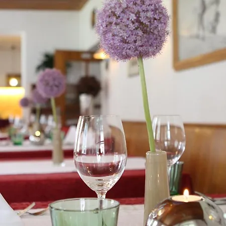 Berghotel-gasthof Gstrein 3* Vent