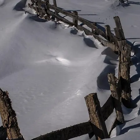 Berghotel-gasthof Gstrein 호텔