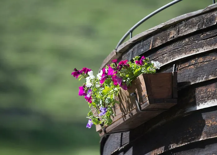 Berghotel-gasthof Gstrein 3*