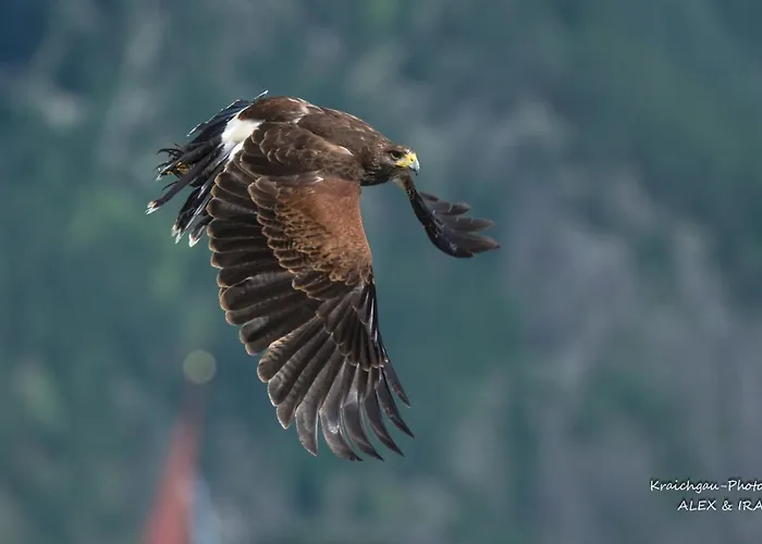 Hotel Berghotel-gasthof Gstrein