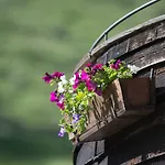Berghotel-gasthof Gstrein 3*